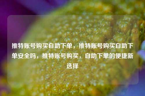 推特账号购买自助下单	，推特账号购买自助下单安全吗，推特账号购买，自助下单的便捷新选择  第1张