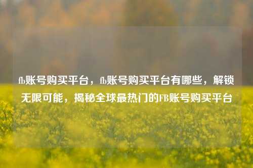 fb账号购买平台，fb账号购买平台有哪些，解锁无限可能，揭秘全球最热门的FB账号购买平台