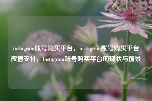 instagram账号购买平台，instagram账号购买平台微信支付，Instagram账号购买平台的现状与前景