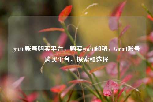 gmail账号购买平台，购买gmail邮箱，Gmail账号购买平台，探索和选择