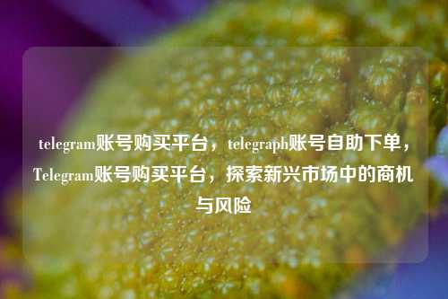 telegram账号购买平台，telegraph账号自助下单，Telegram账号购买平台，探索新兴市场中的商机与风险