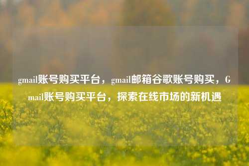 gmail账号购买平台，gmail邮箱谷歌账号购买，Gmail账号购买平台，探索在线市场的新机遇