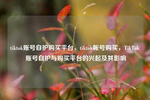 tiktok账号自护购买平台，tiktok帐号购买，TikTok 账号自护与购买平台的兴起及其影响