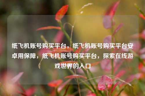 纸飞机账号购买平台，纸飞机账号购买平台安卓用保障，纸飞机账号购买平台，探索在线游戏世界的入口