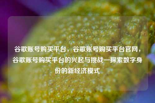 谷歌账号购买平台，谷歌账号购买平台官网，谷歌账号购买平台的兴起与挑战—探索数字身份的新经济模式