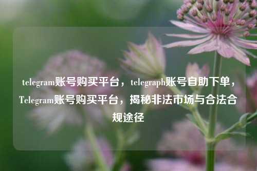 telegram账号购买平台，telegraph账号自助下单，Telegram账号购买平台，揭秘非法市场与合法合规途径