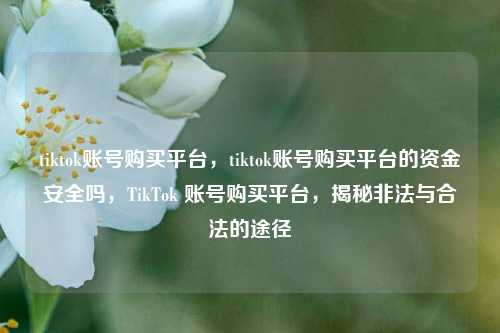tiktok账号购买平台，tiktok账号购买平台的资金安全吗，TikTok 账号购买平台，揭秘非法与合法的途径